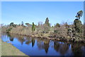 River Earn near Kinkell Bridge