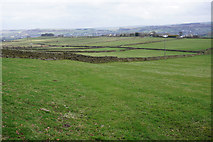 SE0138 : Fields near Oakworth by Bill Boaden