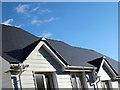 Roof detail, Sycamore Chase development