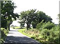 Approaching the Raholp turn-off on the A25