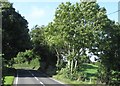 Tree-lined bend in the A25 (Downpatrick Road)