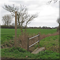 Footpath sign and footbridge near Little Renters Farm, Little Totham