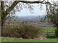 SK6630 : View from Kinoulton Old Churchyard by Alan Murray-Rust