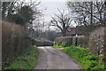 East Devon : Country Lane