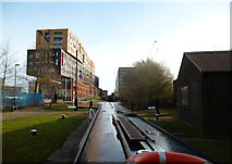 SJ8598 : Ashton Canal  View from Lock No 2 by Dr Neil Clifton