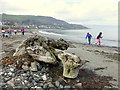 The beach at Glenarm