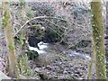 Waterfall, Mill Brow