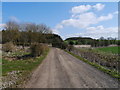 Track Near Kames East Mains