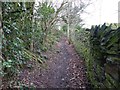 Footpath behind Townscliffe Farm