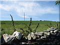 Arable crop on drumlin land west of Drumroe Road