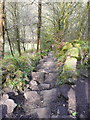 Footpath down to the stepping stones