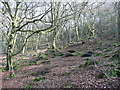 SD9828 : Ruined boulder wall in Hebden Wood by Humphrey Bolton