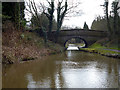 Macclesfield Canal:  Hibberts Brow Bridge No 21