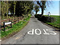 Ballyard Road, Castlemervyn Demesne