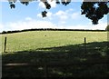 Drumlin sheep pastures on the west side of Drumroe Road