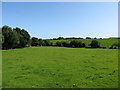 Drumlin farm land east of Cargagh Chapel