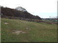 NZ3963 : Paths on Cleadon Hills, near South Shields by Malc McDonald