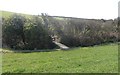 Footbridge across the stream near Carnevas Farm