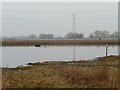 Bottom Tank, RSPB Saltholme [1]