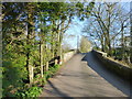 SO3914 : Road bridge over the Trothy, Llantilio Crossenny by Ruth Sharville