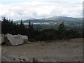 The sunlit town of Castlewellan viewed from Thomas