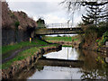 Trent and Mersey Canal:  Bridge No 156