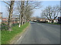 Newbiggin Lane