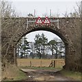 Bridge, Hallyards