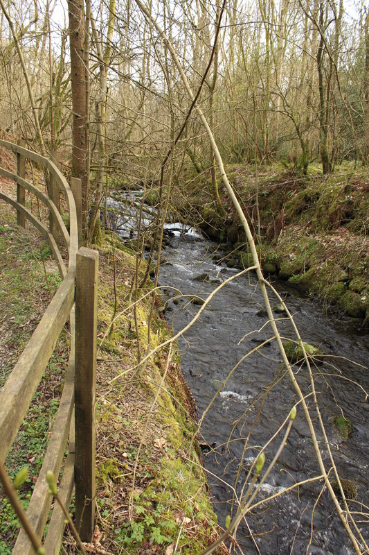 Burn in Cally Woods © Billy McCrorie :: Geograph Britain and Ireland