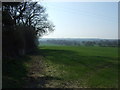 Farmland and hedgerow near Low Ruddick House