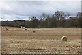 Round bales Dillavaird