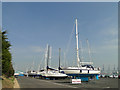 Shotley Marina