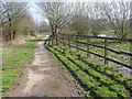 Hedge Lane, Whitegrove