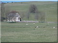 Wynford Eagle: the church across a field