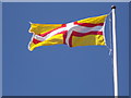 SY4897 : Melplash: the Dorset flag flies from the church by Chris Downer