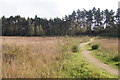 Elvetham Heath Nature Reserve