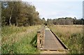 Boardwalk through Turners Wood