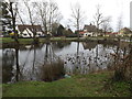 TM0466 : Village Pond at Shop Green by Geographer