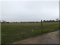 TM0466 : Playing Field at 1st Bacton Scout Group HQ by Geographer