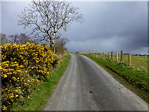 H4874 : Backglen Road, Boheragh by Kenneth  Allen