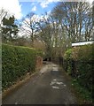 Newcastle-under-Lyme: suburban footpath