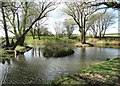 Tye Green Pond near Stock, Essex