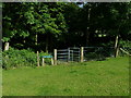 Gate leading into Birch Wood