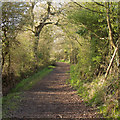 TQ7095 : Bridleway to Ramsden Back Common, Ramsden Heath by Roger Jones