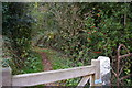 Path off the lane north of Chagford Bridge