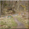 NY6393 : Approaching a forest road, Kielder Castle by Rich Tea