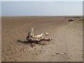 NU0545 : Driftwood on Goswick Sands by Oliver Dixon