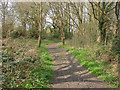 Footpath, Broadstreet Common