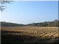 Lower Gratton/Little Hilly Field/Carthouse Field