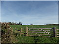 Paddocks below Queach Farm